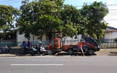 Musim Buah, Pedagang Musiman Ramai Sepanjang Jalan Bojonegoro